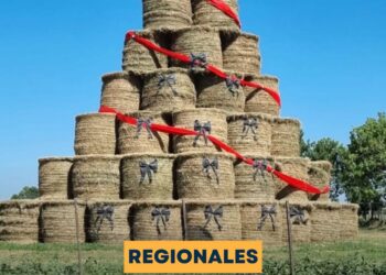 Maria Susana: EL ÁRBOL DE NAVIDAD MÁS ORIGINAL