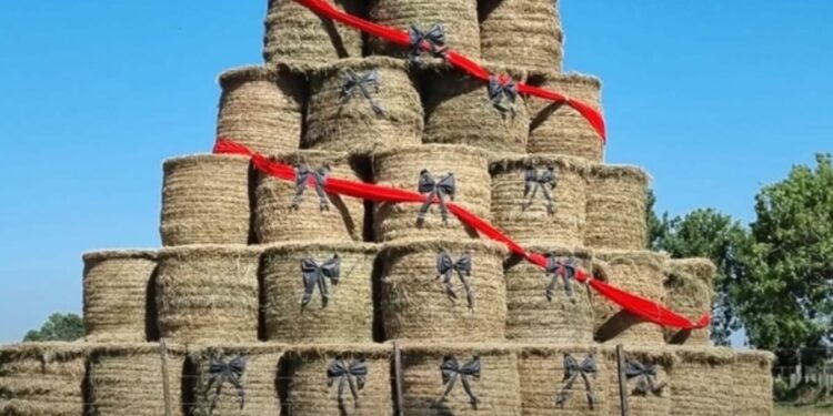 Maria Susana: EL ÁRBOL DE NAVIDAD MÁS ORIGINAL