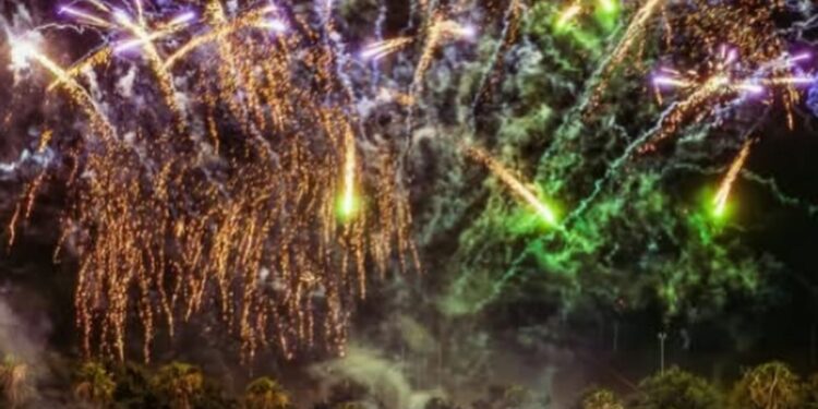 Imágenes espectaculares de una increíble Fiesta Nacional de la Leche