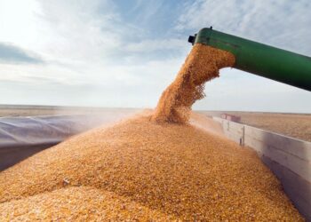 El Gobierno anunció una nueva baja de las retenciones para el agro