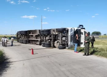 Un camión jaula que transportaba vacas volcó, aparentemente en solitario, en la Autopista Rosario – Córdoba sobre el acceso a la ruta 91.