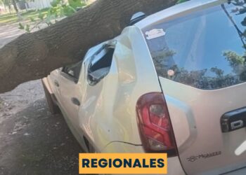 Un árbol cayó sobre un vehículo en la Villa Deportiva