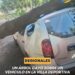 Un árbol cayó sobre un vehículo en la Villa Deportiva