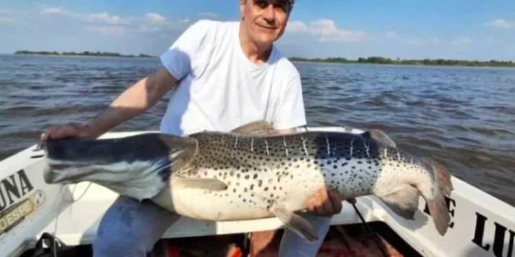 IMPRESIONANTE CAPTURA DE UN SURUBÍ DE MÁS DE 40 KILOS EN ESQUINA, CORRIENTES