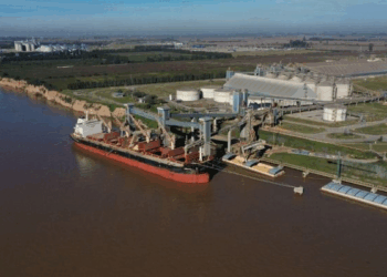 Argentina escribe un hecho histórico: los primeros cargamentos de trigo rumbo a China partirán desde Timbúes