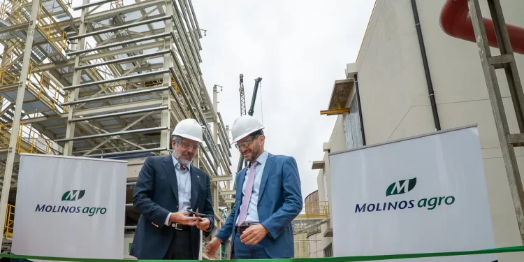 Molinos Agro invierte U$S 12 millones en ampliar la molienda de girasol en San Lorenzo