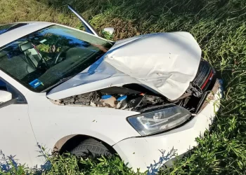 Puerto San Martín: un auto atropelló a un caballo y terminó dentro de un zanjón