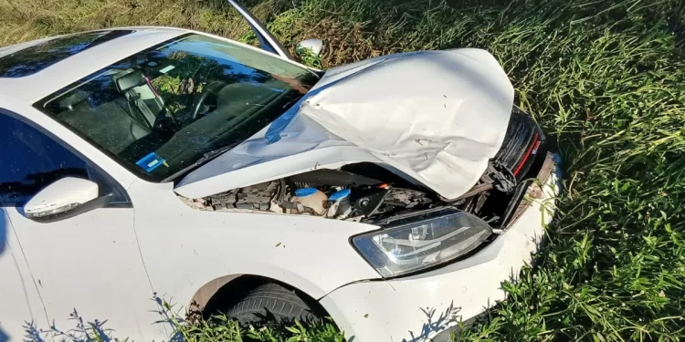 Puerto San Martín: un auto atropelló a un caballo y terminó dentro de un zanjón