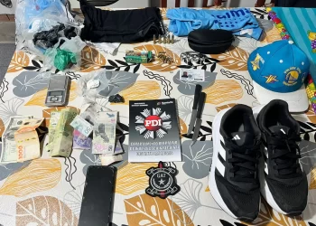 SEIS ALLANAMIENTOS EN LAS PAREJAS: SECUESTRAN ARMAS, MUNICIONES Y DROGA