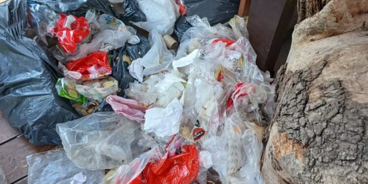 Residuos desparramados y actos de vandalismo en hamacas en la que “Casita del Arbol” en Totoras