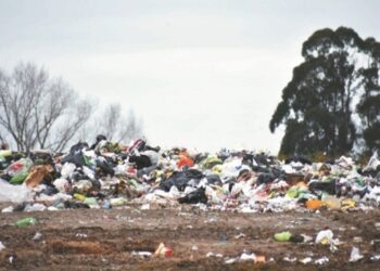 Santa Fe lucha contra basurales a cielo abierto y microbasurales