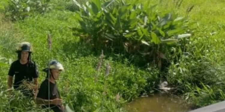 Bomberos rescataron a una mujer atrapada en un auto tras un vuelco en ruta 11