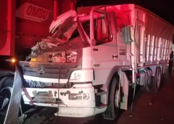 Fuerte choque entre dos camiones en la A012