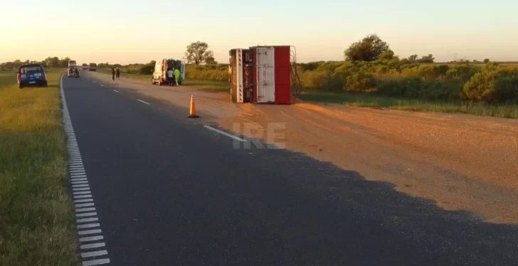 Accidente entre dos camiones en autopista a la altura de San Fabian. Hay cereal sobre la calzada.