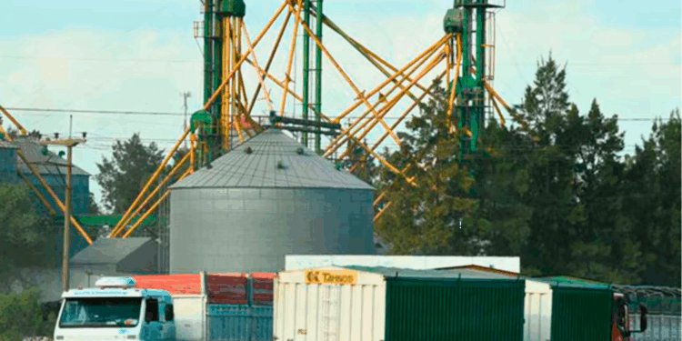 Encuentro entre Provincia e intendentes de ciudades portuarias se realizó con diálogo y énfasis en la defensa de las autonomías municipales.