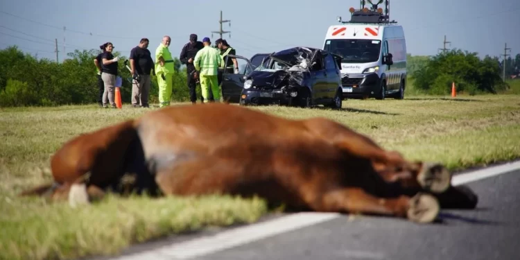 FALLECIO EL CONDUCTOR DEL VEHÍCULO QUE CHOCÓ CONTRA UN CABALLO EN SAUCE VIEJO