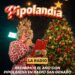 ¡Recibimos el año con Pipolandia!