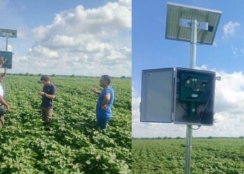 Medí la humedad del suelo al instante y sin perforaciones con la revolución Cosmofield de Criolani Bauer