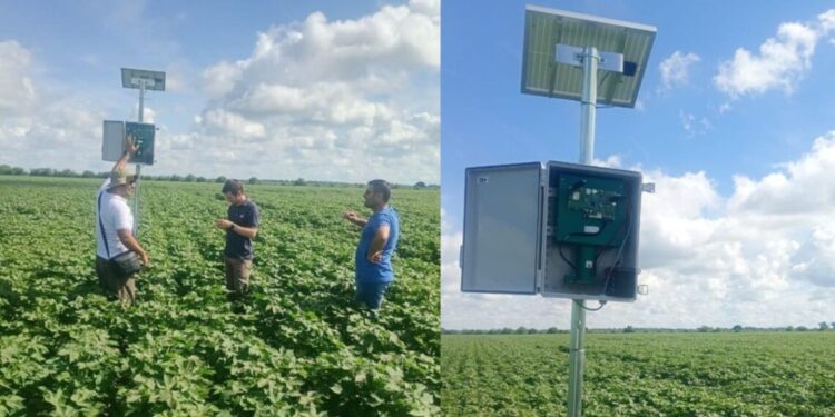 Medí la humedad del suelo al instante y sin perforaciones con la revolución Cosmofield de Criolani Bauer