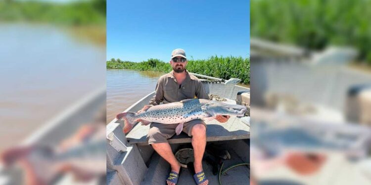 UN SURUBÍ GIGANTE SORPRENDIÓ A UN PESCADOR EN EL RÍO SAN JAVIER