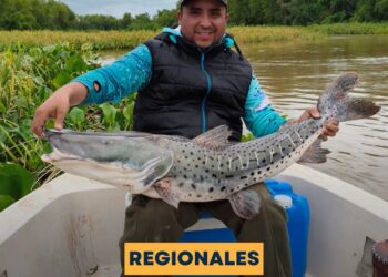 Pesca y devolución. Hermosa postal que nos envia Leo del Programa Recorriendo Ríos, de un surubí en San Javier