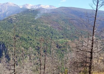 CHUBUT: El fuego avanza ahora sobre Cholila y está fuera de control