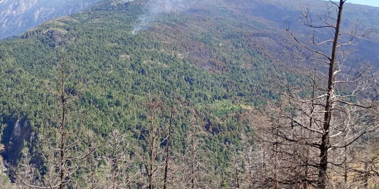 CHUBUT: El fuego avanza ahora sobre Cholila y está fuera de control