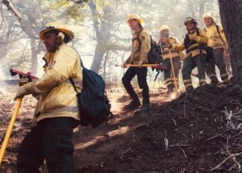 Brigadistas de Santa Fe combaten incendios en Chubut con tareas de ataque directo y cortafuegos