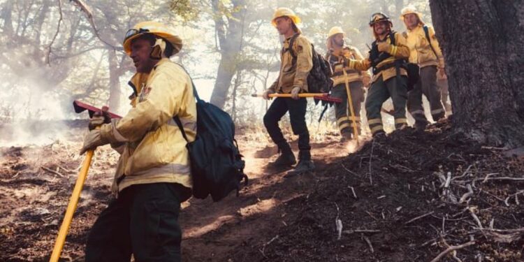 Brigadistas de Santa Fe combaten incendios en Chubut con tareas de ataque directo y cortafuegos