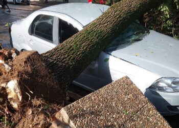 Violento temporal azota Santa Rosa: ráfagas de viento causan graves daños en la capital pampeana