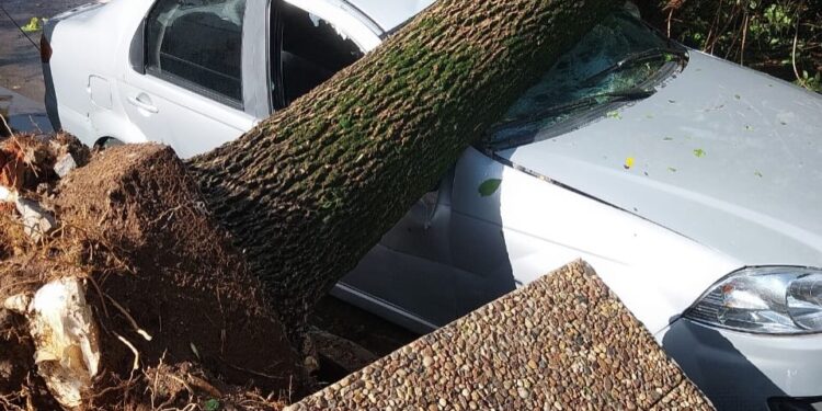 Violento temporal azota Santa Rosa: ráfagas de viento causan graves daños en la capital pampeana