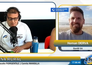 Mercados agrícolas: firmeza en Chicago y precios locales estables, con el clima en el centro de la escena