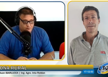 El INTA en el Territorio: Informe de Juan Ibarlucea desde INTA Roldán