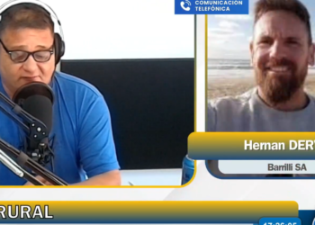 Mercado de granos: bajas externas, presión del tipo de cambio y expectativas por posibles anuncios sobre retenciones