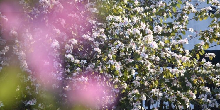 Sunchales fue reconocida a nivel nacional por su compromiso ambiental