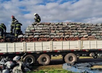 SE INCENDIÓ LA CARGA DE UN CAMIÓN QUE LLEVABA LEÑA Y CARBON EN EL TREBOL