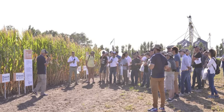 La Cooperativa Guillermo Lehmann lanza ExpoLehmann 2026: una jornada a campo estratégica para productores en Pilar