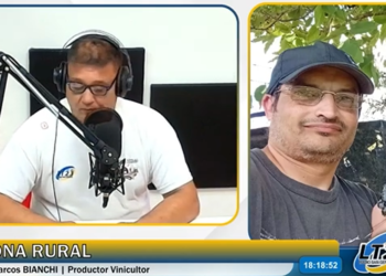 El viñedo “La Calma” crece en Totoras