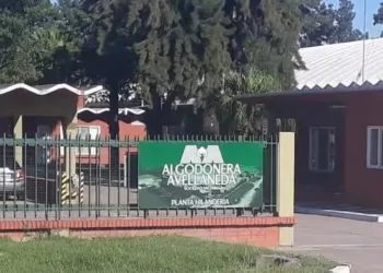 Justicia habilita la venta de un inmueble de Algodonera Avellaneda S.A. para sostener la continuidad de la empresa