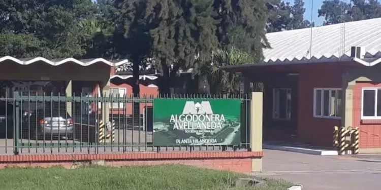 Justicia habilita la venta de un inmueble de Algodonera Avellaneda S.A. para sostener la continuidad de la empresa
