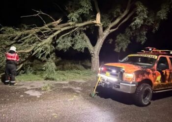 Voladura de techo y arboles caidos por el fuerte viento y tormenta en tororas