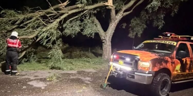 Voladura de techo y arboles caidos por el fuerte viento y tormenta en tororas