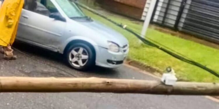 Fuerte temporal en San Lorenzo. Más de 50 árboles caídos