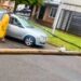 Fuerte temporal en San Lorenzo. Más de 50 árboles caídos