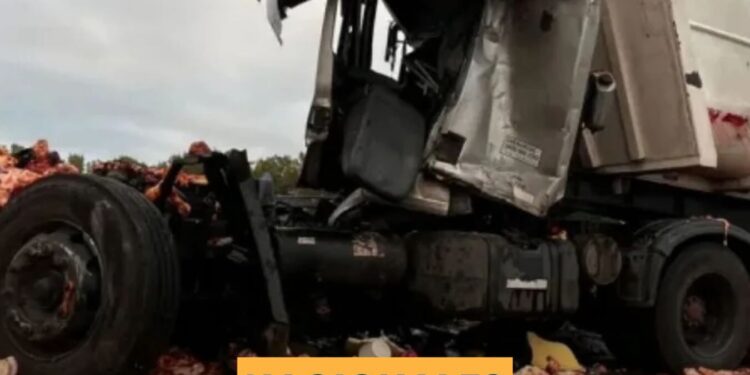 Tragico choque en la Autopista Rosario-Buenos Aires: Un muerto y mas de 12km de fila