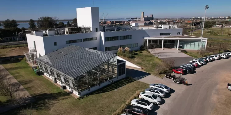 La Justicia decretó la quiebra de Bioceres: debe 158 millones de dólares