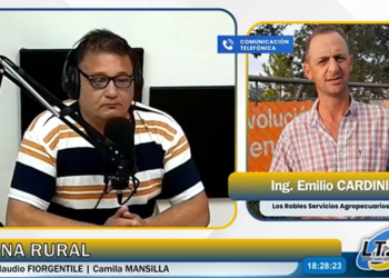 Lluvias dispares y cultivos en etapa clave de cosecha en la región