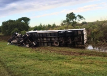 Volcó un camión con hacienda en la Autopista Rosario–Santa Fe