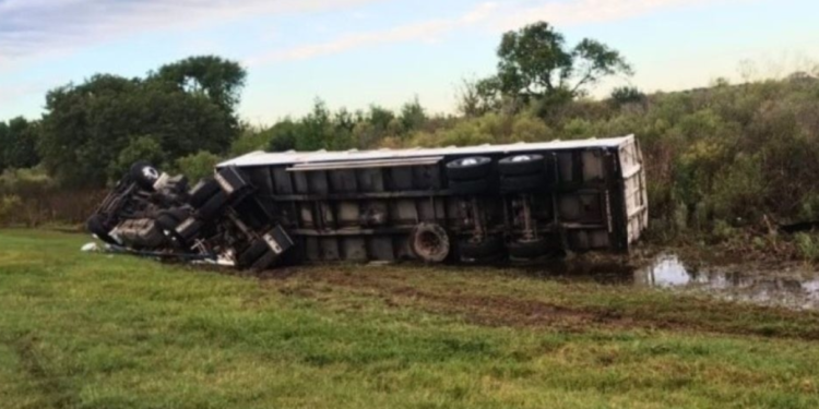 Volcó un camión con hacienda en la Autopista Rosario–Santa Fe