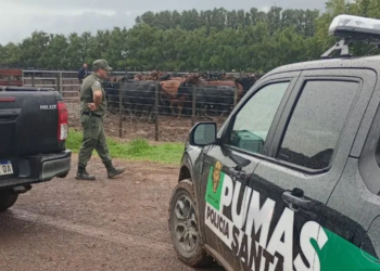 Giro en la causa de Joya Agro: imputaron por defraudación y abuso de confianza al empresario que se llevó el ganado